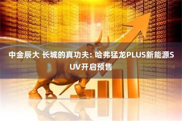 中金辰大 长城的真功夫: 哈弗猛龙PLUS新能源SUV开启预售