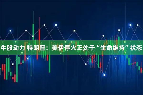 牛股动力 特朗普：美伊停火正处于“生命维持”状态