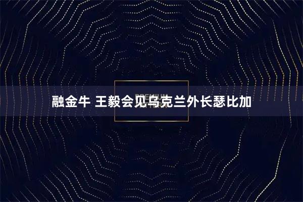 融金牛 王毅会见乌克兰外长瑟比加