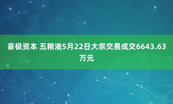 豪极资本 五粮液5月22日大宗交易成交6643.63万元